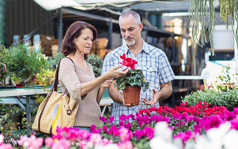 Couple buying a plant at the farmers market