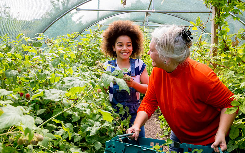An older woman is helping a young girl gardening.