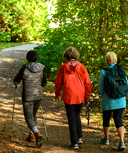 group walking together 